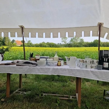 Boltinge Glamping Campismo de Luxo